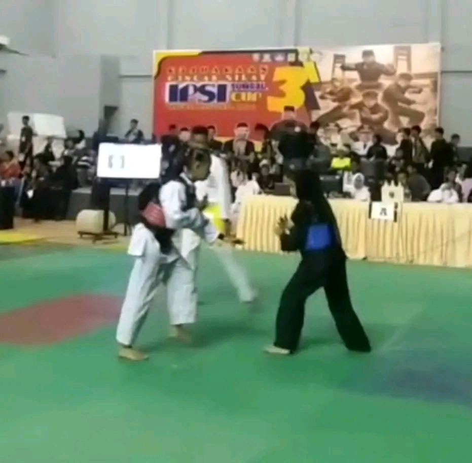 Membanggakan! Santri Dempo Darul Muttaqien Menjuarai Kompetensi Pencak Silat Nasional di Palembang